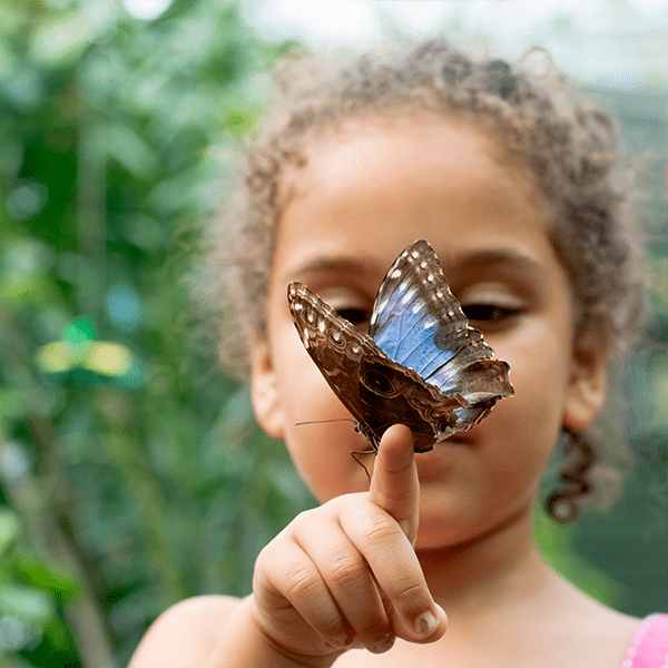 Child holding butterfly