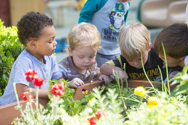 boys looking at plants