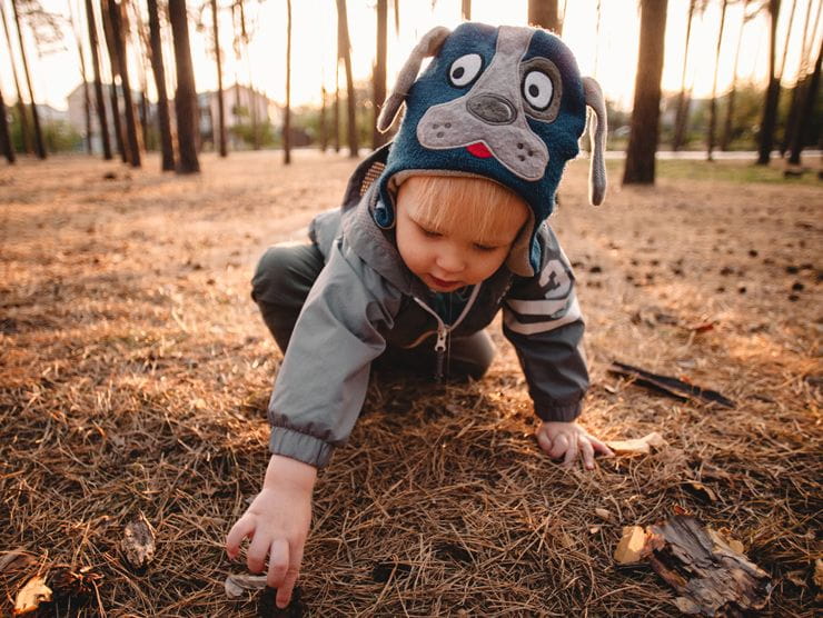 Fall is great for Discovery Driven Learning